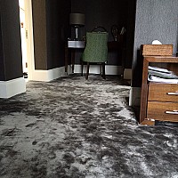 Jacaranda Carpets Simla Gunmetal