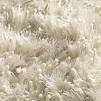 Jacaranda Lustre Ivory close-up
